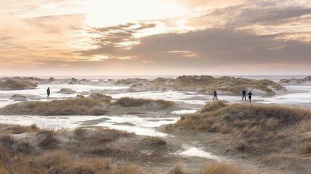 Starke Brise aus West. Winde treiben das Nordseewasser in die Dünen von Amrum. Nur eines von vielen winterlichen Spektakeln, die Feriengäste so zu schätzen wissen.
