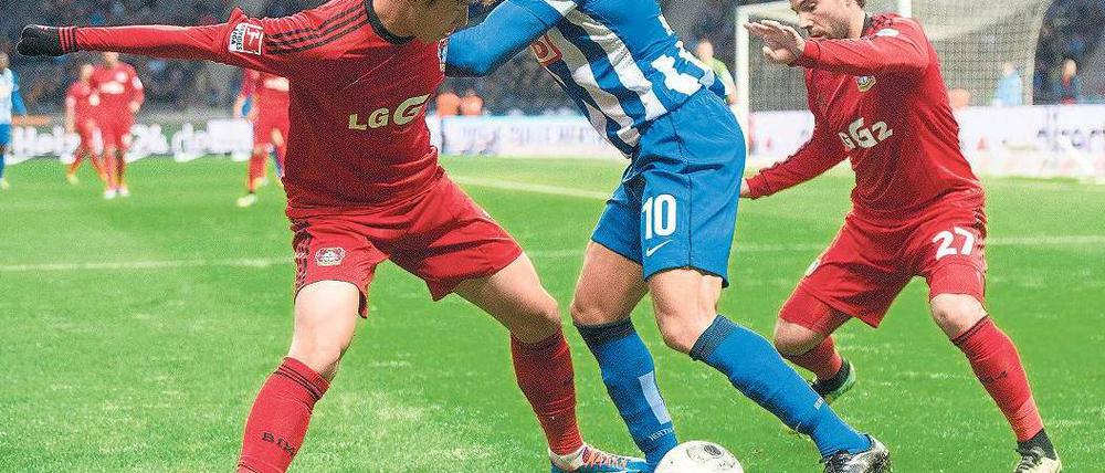 In der Bayer-Zange. Herthas Änis Ben-Hatira kommt nicht an Heung-Min Son (l.) vorbei. Die Berliner kassierten gegen Leverkusen ihre dritte Heimniederlage der Saison. Foto: dpa