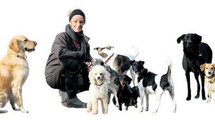 Hunde ausführen gegen Geld: Wer einen Dogsitter beschäftigt, kann das von der Steuer absetzen.