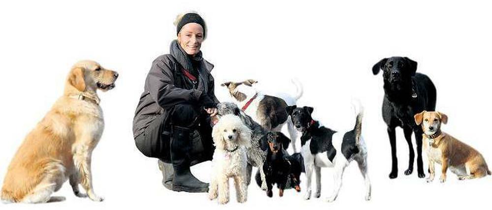Hunde ausführen gegen Geld: Wer einen Dogsitter beschäftigt, kann das von der Steuer absetzen.