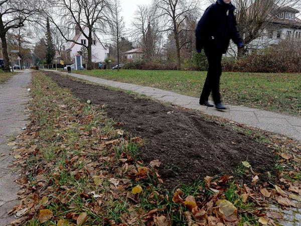 Dem Erdboden gleichgemacht. Es war einmal eine Hecke im Nieritzweg.