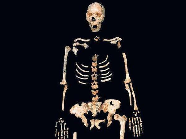 Knochen von Homo heidelbergiensis?