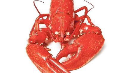 Foto: Edward Westmacott/Fotolia