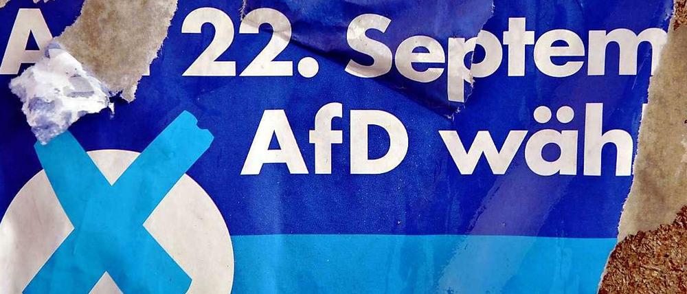 Nach der Wahl. Die AfD denkt über ihre Zukunft nach.