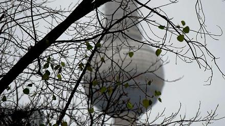 Der Fernsehturm.