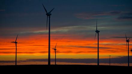 Abendruhe. Stehen Windräder während der Dämmerung still, haben Fledermäuse bessere Überlebenschancen.