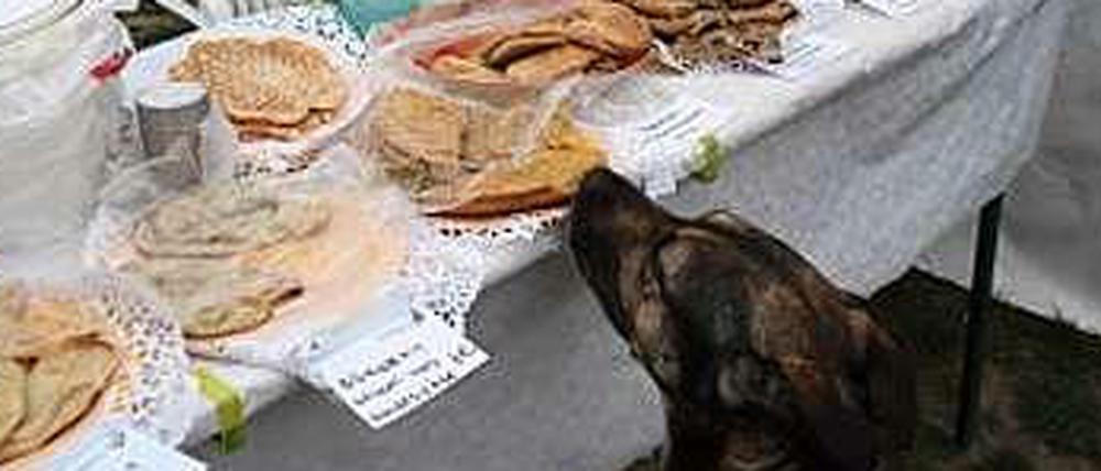 Gefundenes Fressen: Geschehen auf dem Markt in Berlin-Pankow, geahndet von den Lebensmittelkontrolleuren.