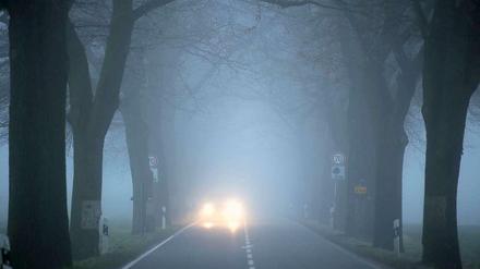 Schau an, ein Auto. Vermutlich. Überall in der Region gibt es starken Nebel.