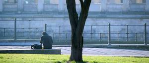 Schöner Schein. Am Freitag schaffte es die Sonne nur im Stadtzentrum und den nördlichen Bezirken durch den Nebel. Aber der Montag soll überall schön werden.