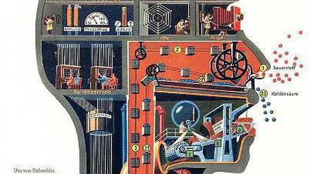 Die „Biologie des Bratendufts“ ist so ein Bild aus dem Werk Fritz Kahns. Was der knusprigen Weihnachtsgans entströmt, wird im Schattenriss eines Kopfes vom Laboranten Station für Station weiterverarbeitet: Im Riechfeld fragt er „riecht es?“, im Großhirn legt er Reflexschalter um, im Speichelzentrum den Fleischhebel. Aus den Bilderwelten des Berliner Arztes und einst überaus populären Wissenschaftsautors Fritz Kahn (1888–1968) spricht die Faszination des Maschinenzeitalters. In einem großformatigen Band lässt der Taschen-Verlag Kahns „Reisen in den eigenen Körper“ wieder aufleben. Kahn musste 1933 nach Palästina emigrieren, gelangte durch Fürsprache Einsteins in die USA, wo er aber nicht mehr Fuß fassen konnte. Didaktisch ist er noch immer auf der Höhe der Zeit. Wo seine Erklärungen überholt sind, mögen Mediziner von heute überprüfen. Aber auch sie werden von Kahns starker Bildsprache begeistert sein. Uta von Debschitz, Thilo von Debschitz: Fritz Kahn. Taschen Verlag, Berlin 2013. 392 Seiten, 39,99 Euro.