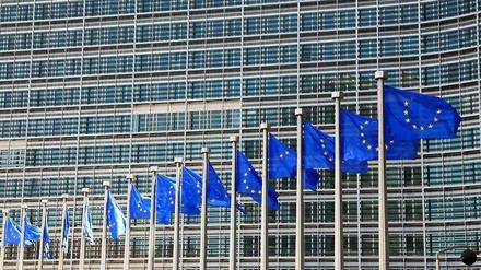 Unmittelbar vor dem EU-Gipfel schließen die Europäer das Riesenprojekt ihrer Bankenunion ab.