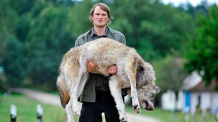 Schuss in der Nacht. Wolfsbeobachter Stefan Waldner trug im "Polizeiruf 110: Wolfsland" einen illegal erschossenen Wolf zum Haus von Jagdpächterin und Schlossherrin Elisabeth von Taupitz. Wie in der Realität auch spaltet die Rückkehr der Wölfe die Dorfgemeinschaft in dem kleinen brandenburgischen Ort Kaskow. 