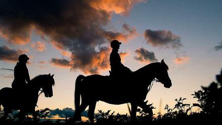 Weil das Pferd scheute, wurde eine 18-Jährige bei einem Reitunfall schwer verletzt.