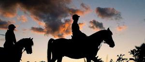 Weil das Pferd scheute, wurde eine 18-Jährige bei einem Reitunfall schwer verletzt.