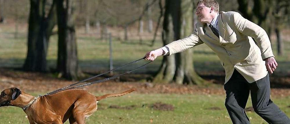 Nicht jeder Hundebesitzer hat sein Tier unter Kontrolle.