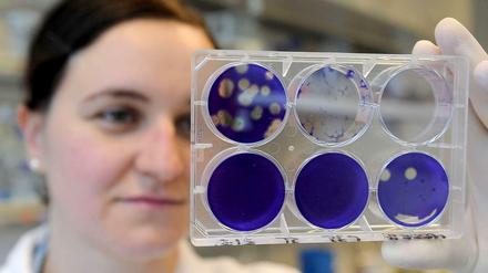 Frauen in der Wissenschaft sind benachteiligt - in mehrerlei Hinsicht.