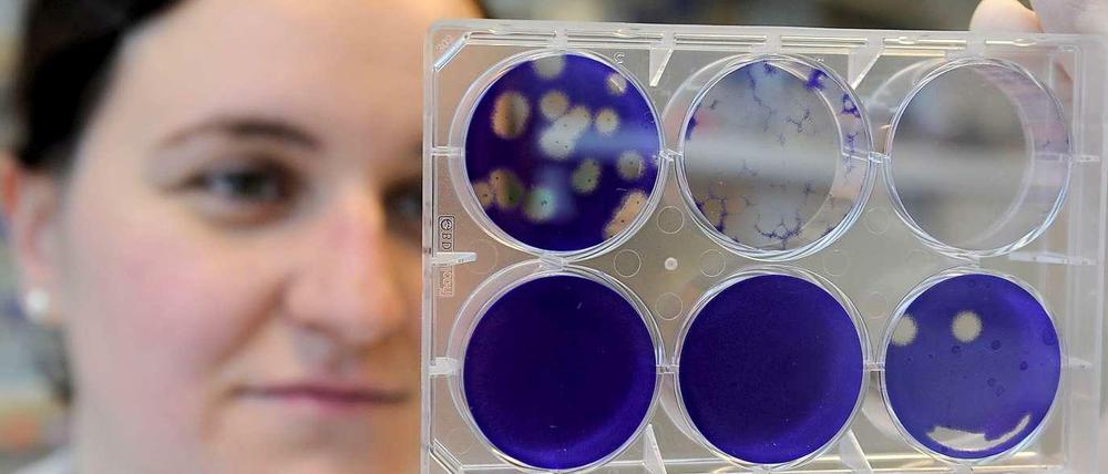 Frauen in der Wissenschaft sind benachteiligt - in mehrerlei Hinsicht.