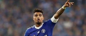 Kevin-Prince Boateng ist ein deutsch-ghanaischer Fußballspieler, der seit August 2013 beim FC Schalke 04 unter Vertrag steht.