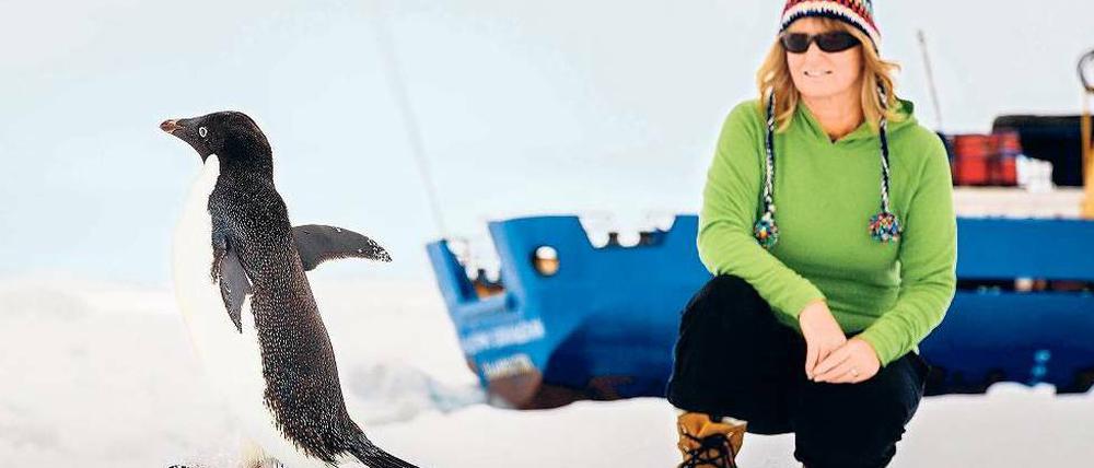 Die Mitreisende Barbara Tucker spielt mit einem Pinguin auf dem Eis. Foto: Reuters