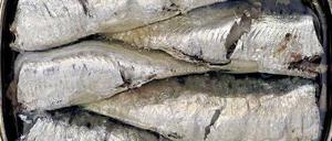 Dicht an dicht. Im Gedränge ist es wichtig, nicht den Kopf zu verlieren. Foto: Imago