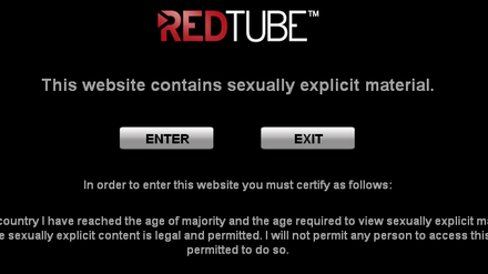 Die Porno-Website Redtube. 
