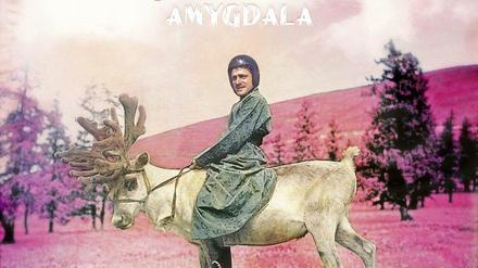 DJ Koze ist mit seinem Album "Amygdala" nominiert.