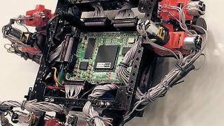 Gecko-Roboter