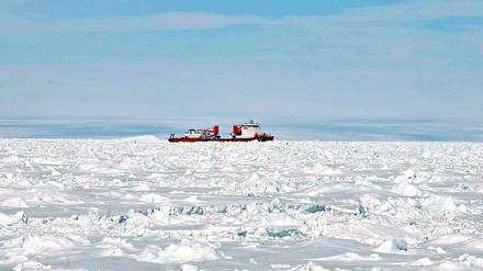 Retter in Not: Der chinesische Eisbrecher "Xue Long".