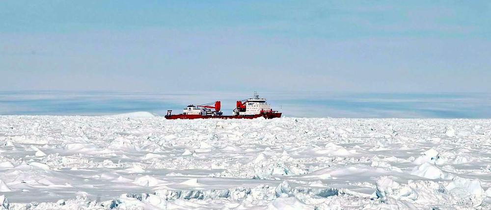 Retter in Not: Der chinesische Eisbrecher "Xue Long".