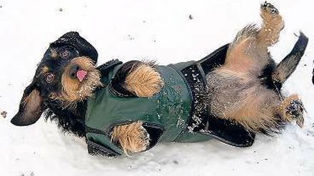 Unendlicher Spaß. Ältere Berliner erinnern sich noch an ortstypische Winter. Foto: dpa