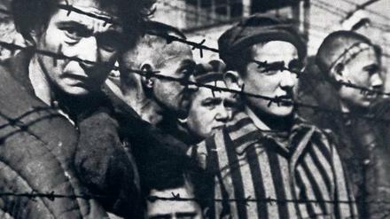 Gefangene des Vernichtungslagers Auschwitz bei der Befreiung.