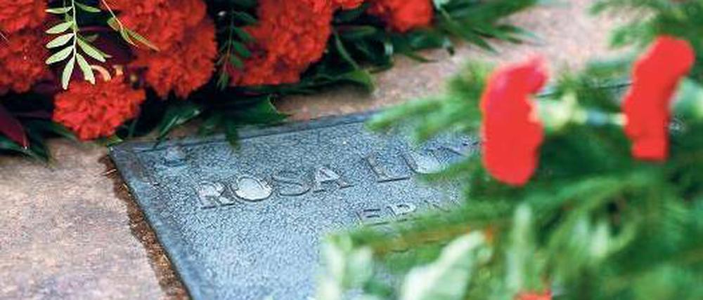 Nelken für Rosa. Tausende Menschen gedachten am Sonntag der ermordeten Kommunistenführer und legten Blumen an Luxemburgs Gedenkstein in Friedrichsfelde nieder. Foto: dpa