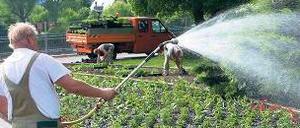 Gärtner beim Sprengen