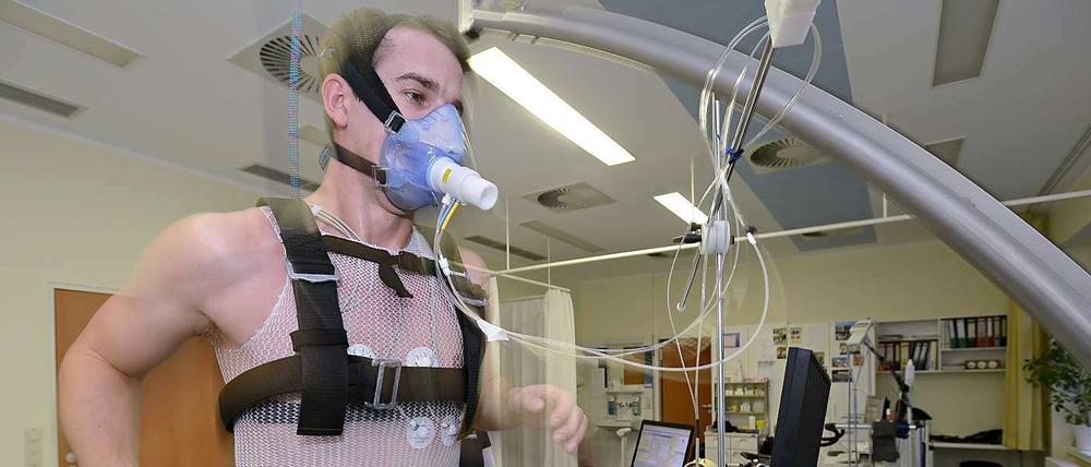 Im swingerclubfähigen Netzhemd. Tagesspiegel-Autor Arne Bensiek fixiert die Topfpflanze auf der Fensterbank.