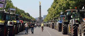 Die Bauern kennen den Weg. Sie waren nämlich schon einige Mal hier - wie 2009.