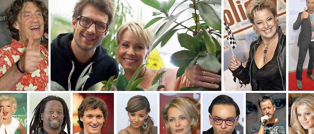 Der Schauspieler Winfried Glatzeder (links oben) ist einer von 11 Teilnehmern der aktuellen Dschungelcamp-Staffel.
