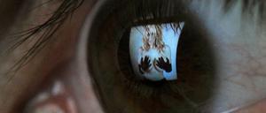 Die Betreiber von Pornoseiten im Internet kennen ihre Nutzer - zumindest aus statistischer Sicht.