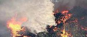 Hilfe aus der Luft: Auch mit Hubschraubern werden die Brände bekämpft. Foto: dpa