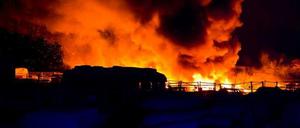Dieser Autoparkplatz in Baumschulenweg brannte lichterloh, nachdem Unbekannte etliche Fahrzeuge angezündet hatten.