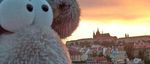 Wenn Kuscheltiere auf Reisen gehen. 