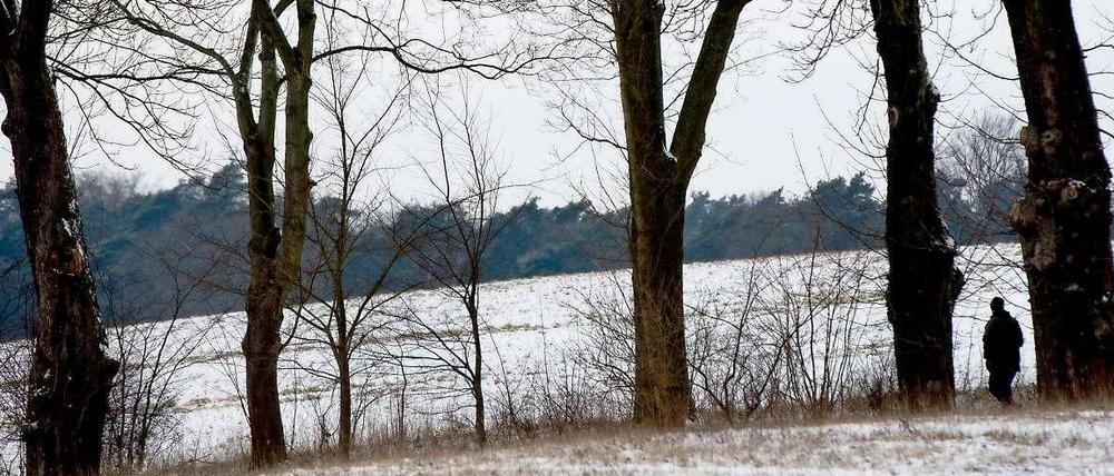 Lust auf einen Ausflug? Dann aber bitte warm anziehen und einen heißen Tee einpacken. Am Wochenende wird es kalt bei minus sieben bis neun Grad. 