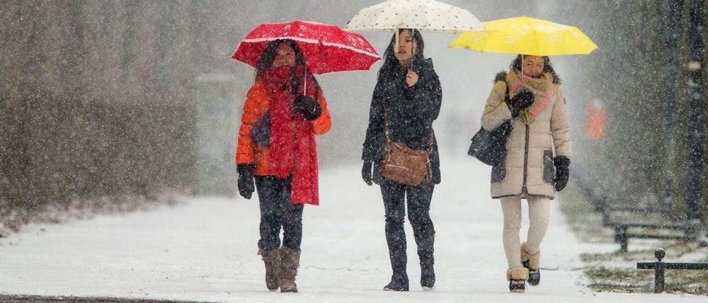 Der Schneefall soll sich am Dienstagnachmittag noch verstärken.
