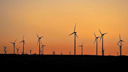Windkraftanlagen in Sachsen-Anhalt.