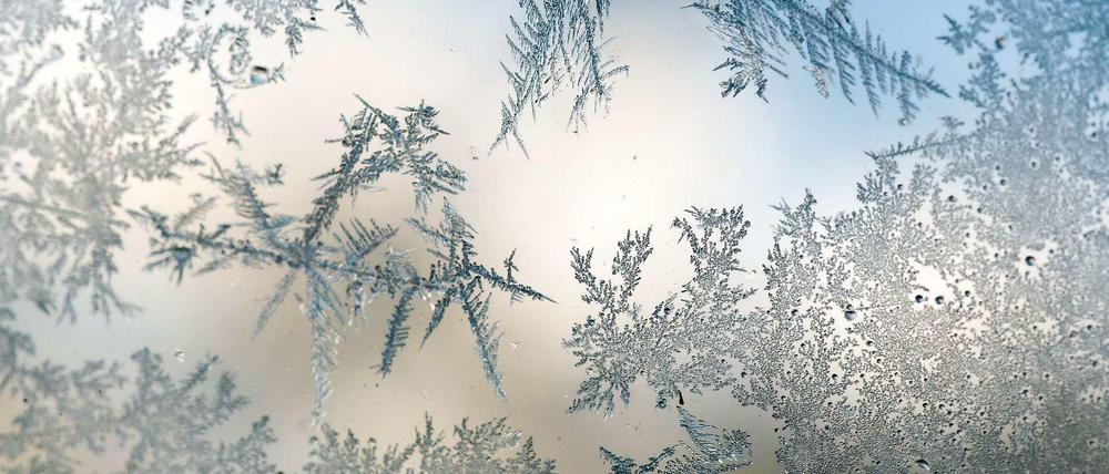 Es bleibt frostig. Eiskristalle an der Scheibe eines Autos in Brandenburg.