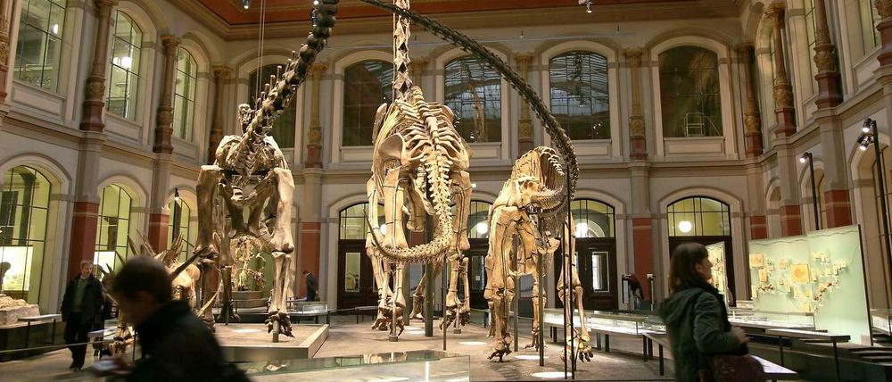 Die Dinosaurierhalle im Berliner Naturkundemuseum.