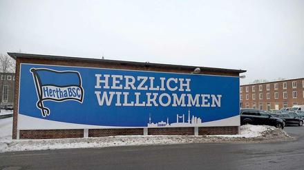 Hertha BSC freut sich über einen warmen Geldregen.