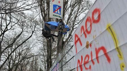 Protest gegen die Autobahn. Aktivisten harren in der hohen Pappel aus.