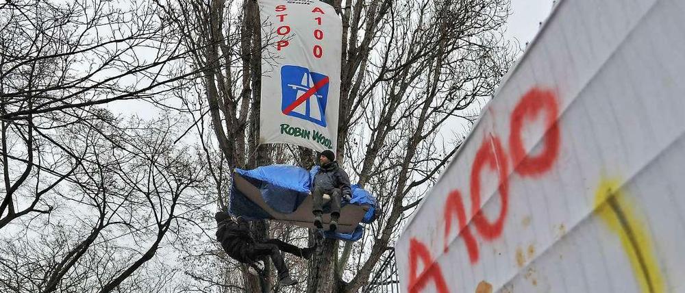 Protest gegen die Autobahn. Aktivisten harren in der hohen Pappel aus.
