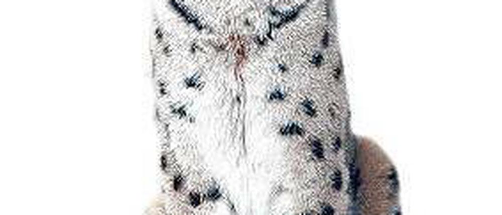 Foto: dpa/Armin Weigel