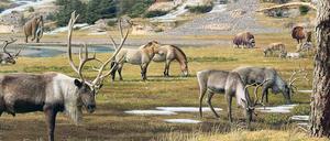 Da fehlt doch was. Diese Darstellung einer Eiszeitlandschaft trifft die Realität wohl nicht genau. Offenbar waren Kräuter wesentlich weiter verbreitet als bisher angenommen.